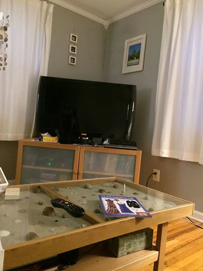 Just Spent 10 Minutes Looking For My Asshole Cat. Flip Image To Find The Answer