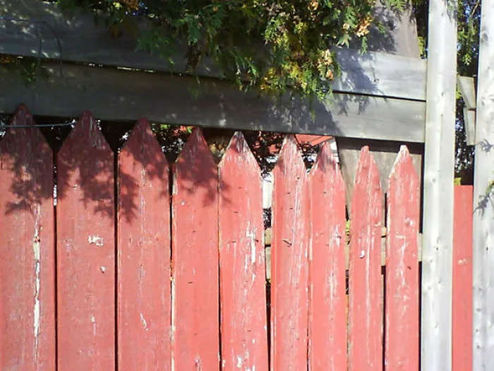 And The Winner Of Hide And Seek Is...Flip Image To Find It