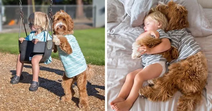 Heartwarming Friendship Between Boy And His Dog