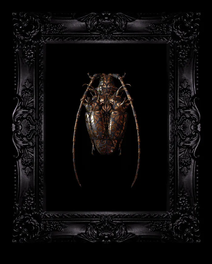 Engraved Entomology: My Project Inspired By Morbid Subjects