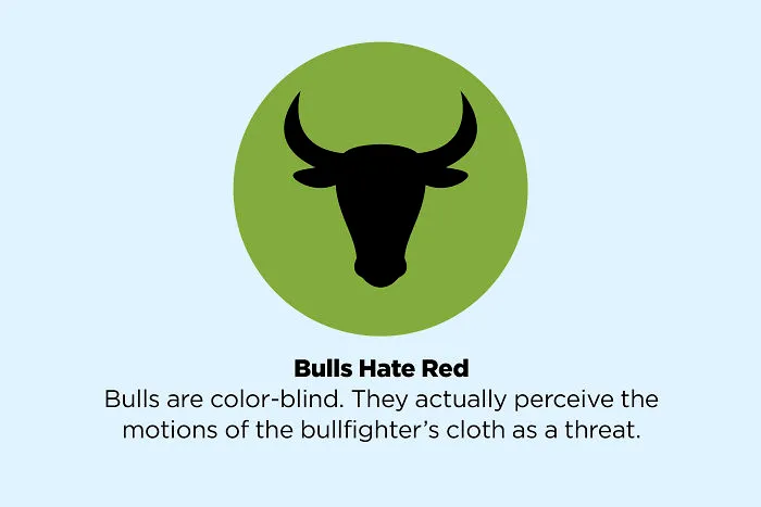 These 50 Facts You Always Believed Are Actually Fake