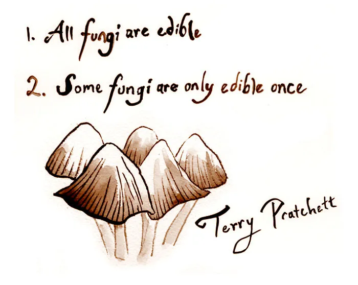 I Illustrated And Hand-Lettered 31 Quotes For Inktober