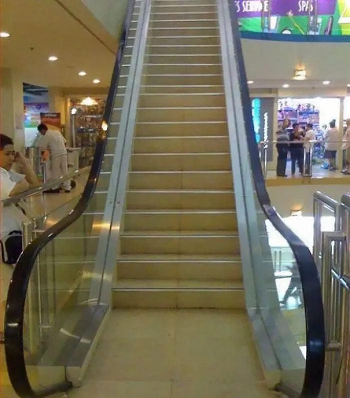 You Had One Job, Architects