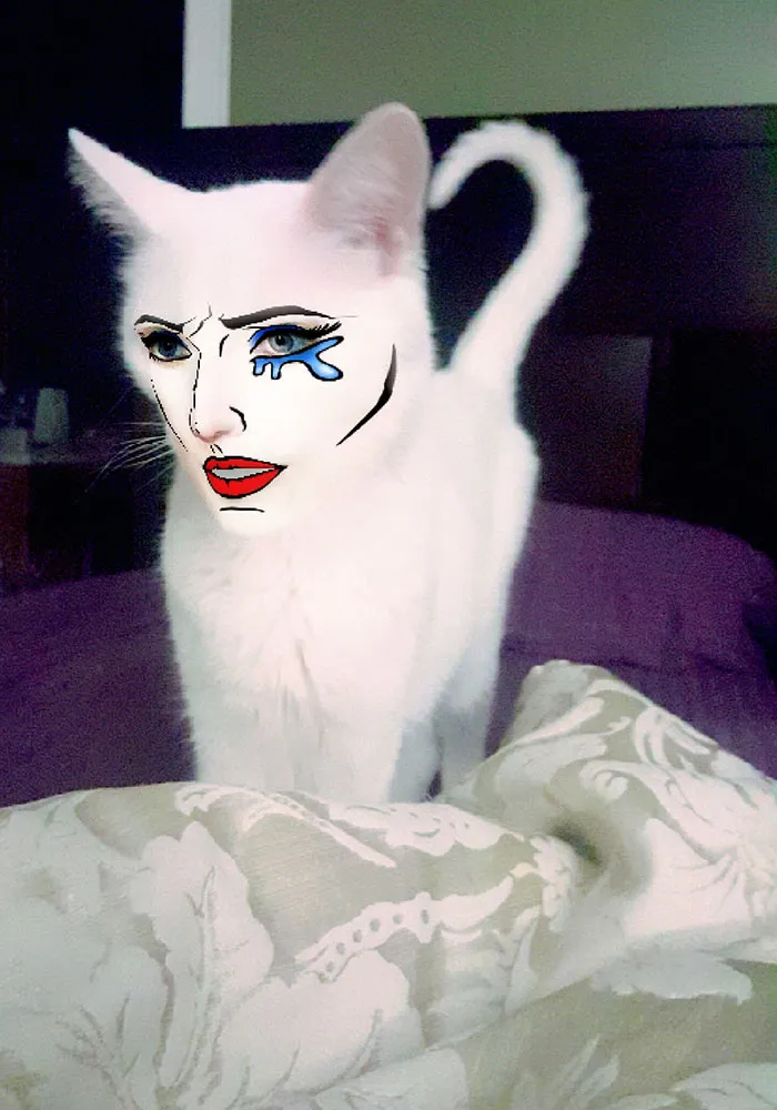 62 Hilarious Cat Snapchats That You Need To See Right Meow