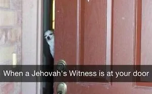 50 Hilarious Dog Snapchats That Are Impawsible Not To Laugh At