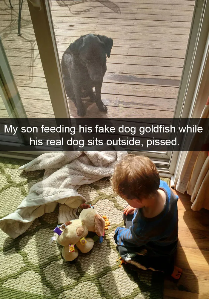 50 Hilarious Dog Snapchats That Are Impawsible Not To Laugh At