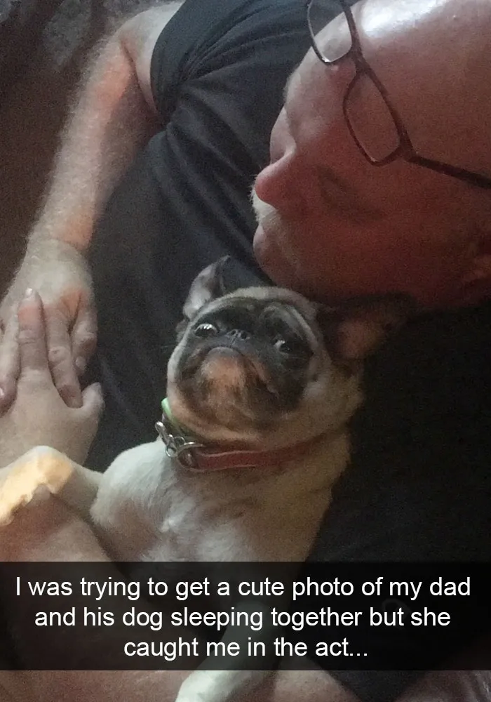50 Hilarious Dog Snapchats That Are Impawsible Not To Laugh At