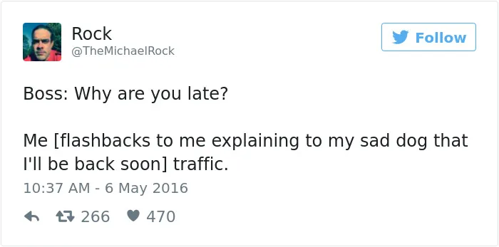 147 Of The Best Dog Tweets Of All Time