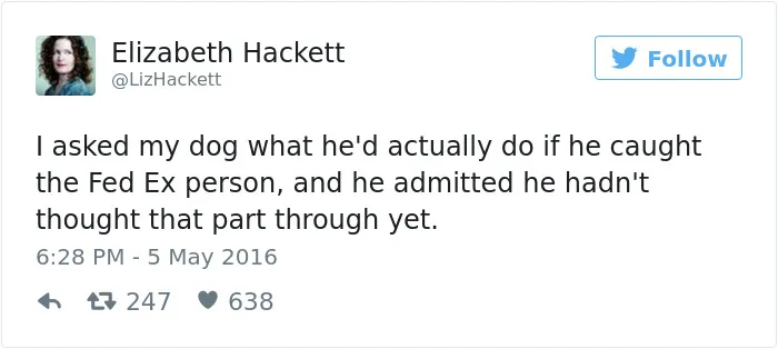 147 Of The Best Dog Tweets Of All Time
