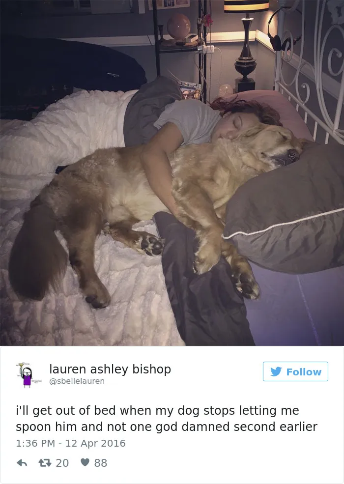 147 Of The Best Dog Tweets Of All Time