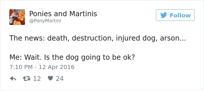 147 Of The Best Dog Tweets Of All Time