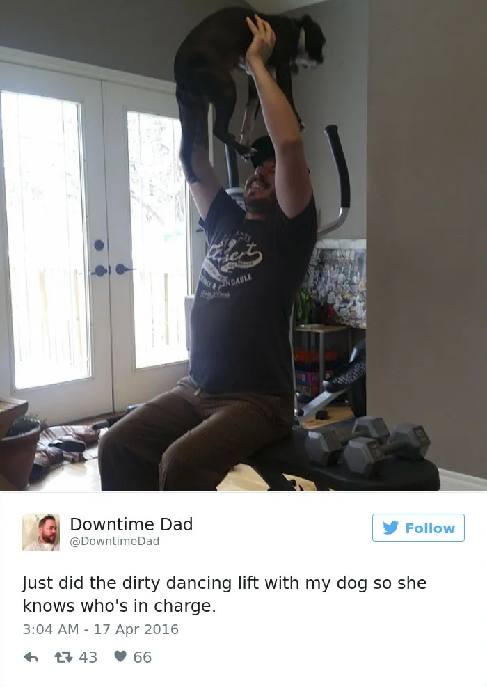 147 Of The Best Dog Tweets Of All Time
