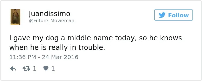 147 Of The Best Dog Tweets Of All Time