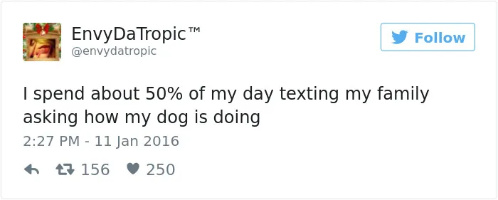 147 Of The Best Dog Tweets Of All Time
