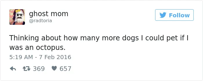 147 Of The Best Dog Tweets Of All Time