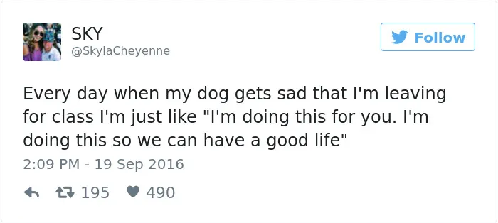 147 Of The Best Dog Tweets Of All Time