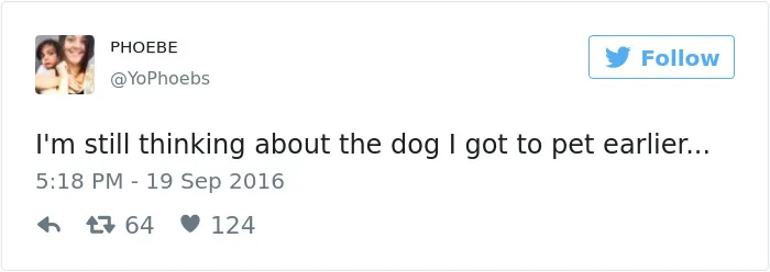 147 Of The Best Dog Tweets Of All Time