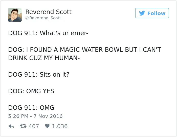 147 Of The Best Dog Tweets Of All Time