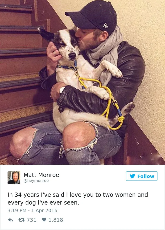 147 Of The Best Dog Tweets Of All Time