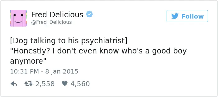 147 Of The Best Dog Tweets Of All Time