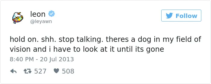 147 Of The Best Dog Tweets Of All Time