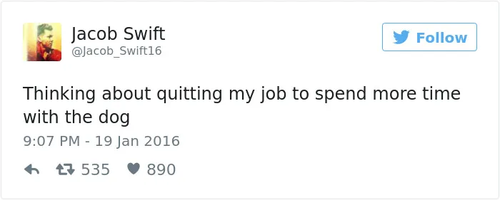 147 Of The Best Dog Tweets Of All Time