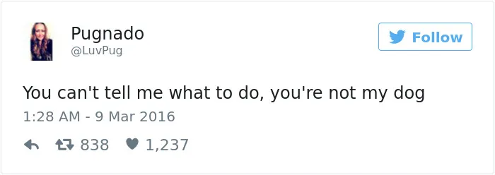 147 Of The Best Dog Tweets Of All Time