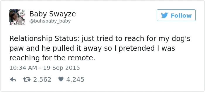 147 Of The Best Dog Tweets Of All Time