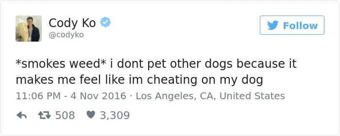 147 Of The Best Dog Tweets Of All Time