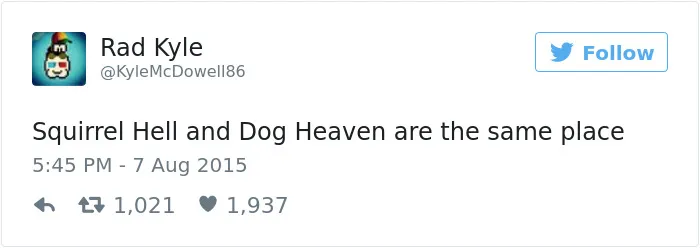 147 Of The Best Dog Tweets Of All Time