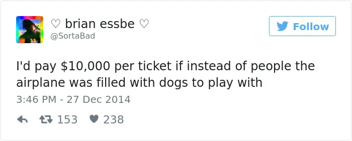 147 Of The Best Dog Tweets Of All Time