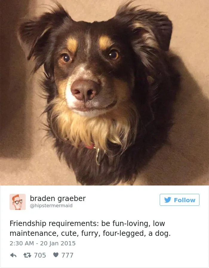 147 Of The Best Dog Tweets Of All Time