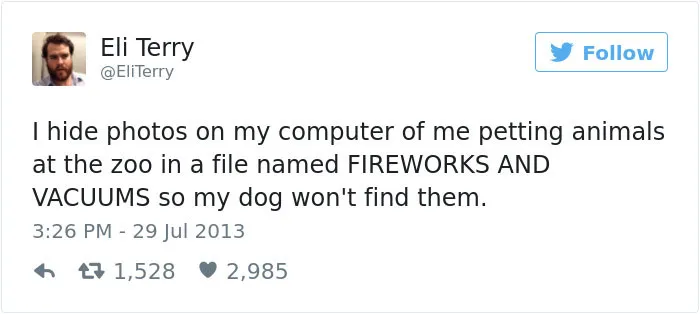 147 Of The Best Dog Tweets Of All Time