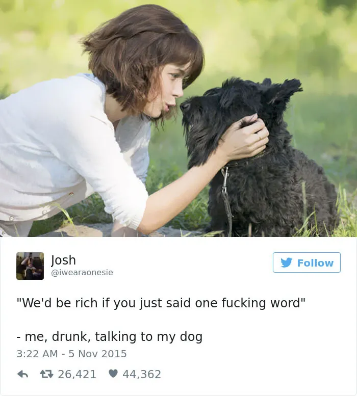 147 Of The Best Dog Tweets Of All Time
