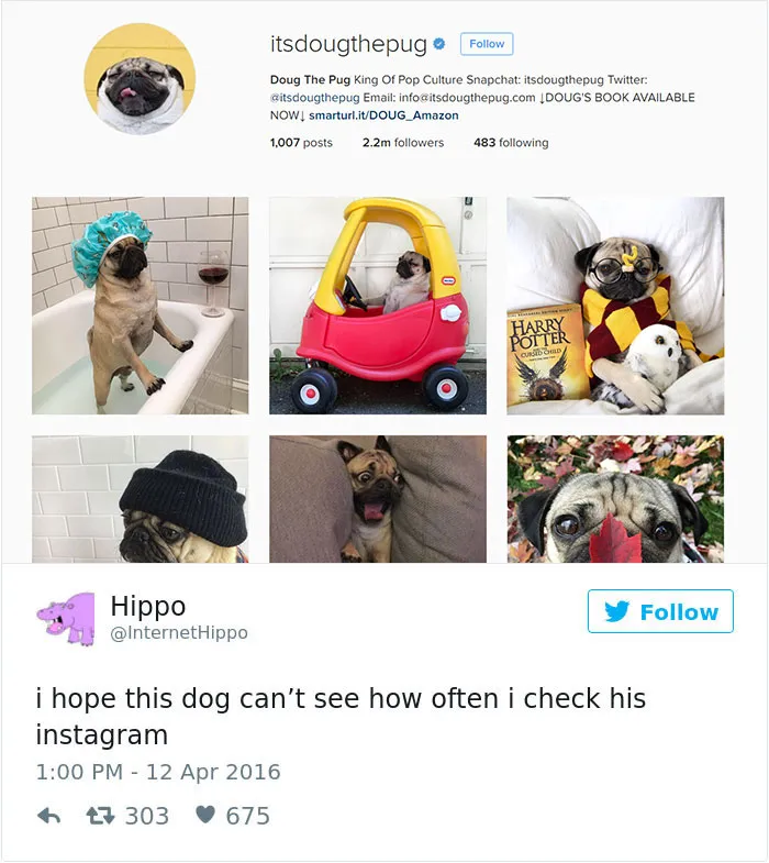 147 Of The Best Dog Tweets Of All Time