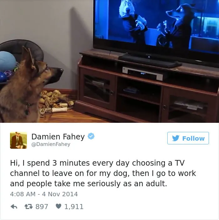 147 Of The Best Dog Tweets Of All Time