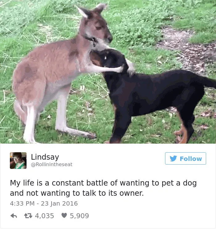 Dog Tweets