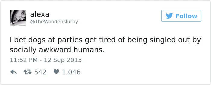 147 Of The Best Dog Tweets Of All Time