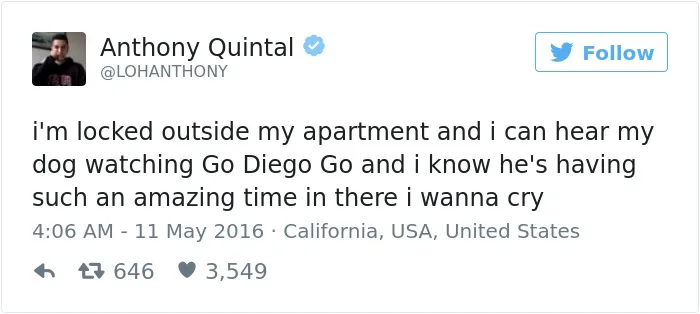 147 Of The Best Dog Tweets Of All Time