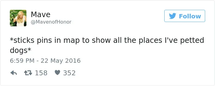 147 Of The Best Dog Tweets Of All Time