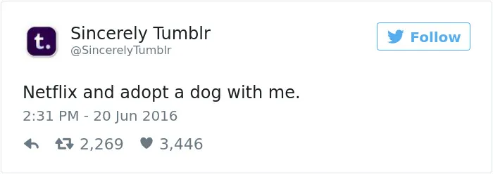 147 Of The Best Dog Tweets Of All Time