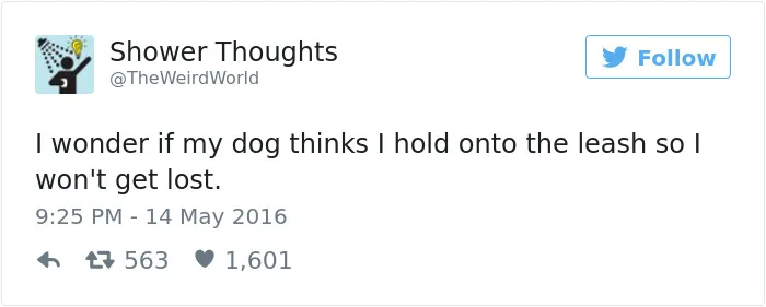 147 Of The Best Dog Tweets Of All Time
