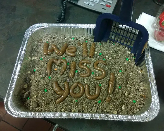 A Shitty Farewell Cake For A Colleague At The Vet’s Office