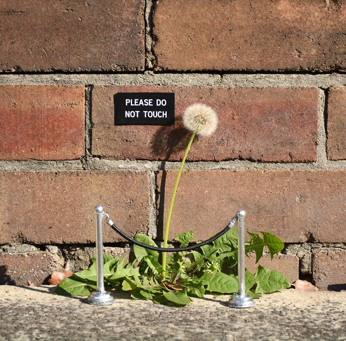 Please Do Not Touch Sign