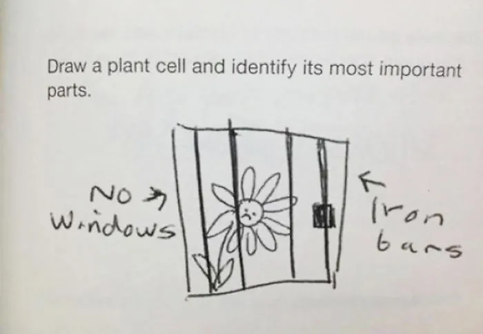 Phyto-Cell
