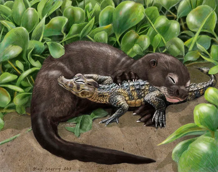 Cute Portraits Of Unexpected Animal Buddies By Blair Sampson