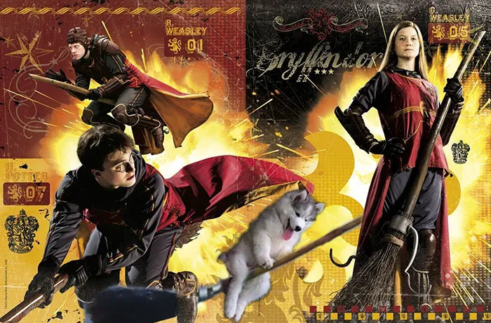 Quidditch Through The Ages
