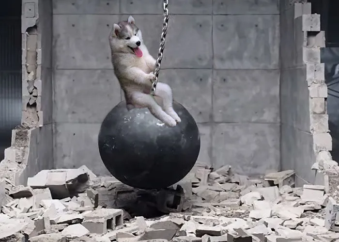 Came In Like A...