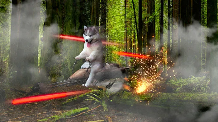 Wow. Much Speed. Very Pew
