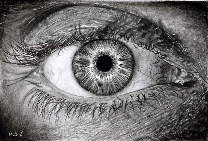 Pencil Drawing By Lynch-smith